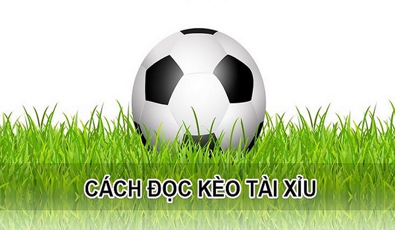 Cách đọc kèo tài xỉu là gì